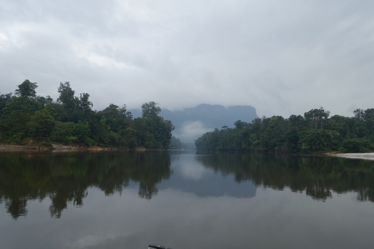 River Potaro leading into dense Jungle.