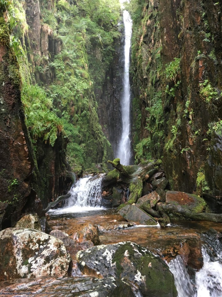 Logs in front of Scaleforce