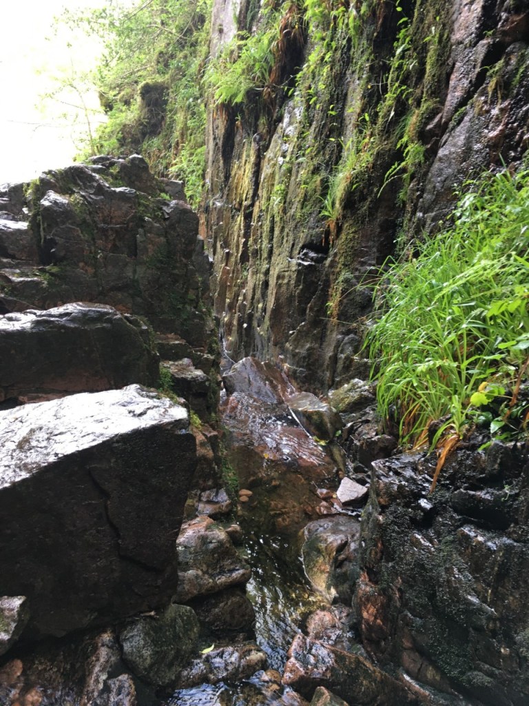 Pool of water up Scaleforce