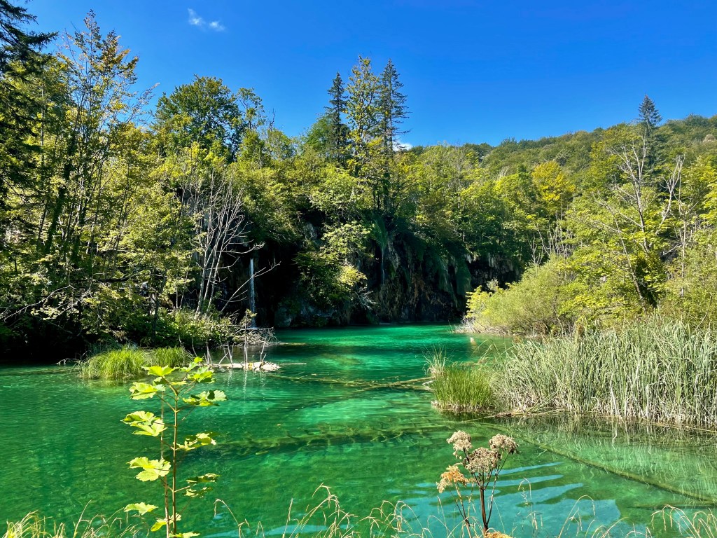 Lower lakes plitvice national park pools