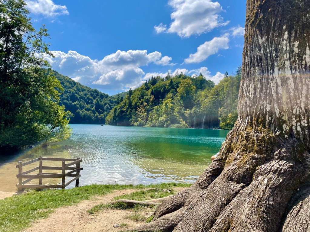 Picnic lunch break spot at ferry port near entrance B plitvice lakes