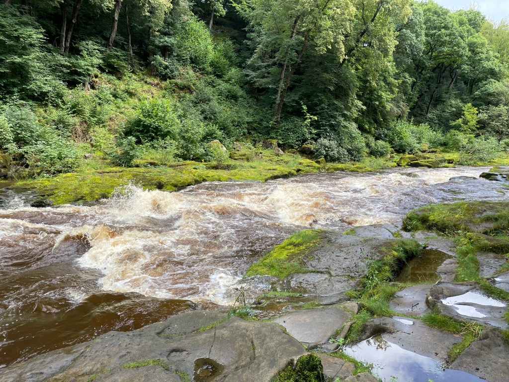 A picture of the strid at high flow