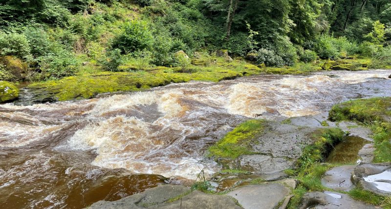 A narrow gap at the strid